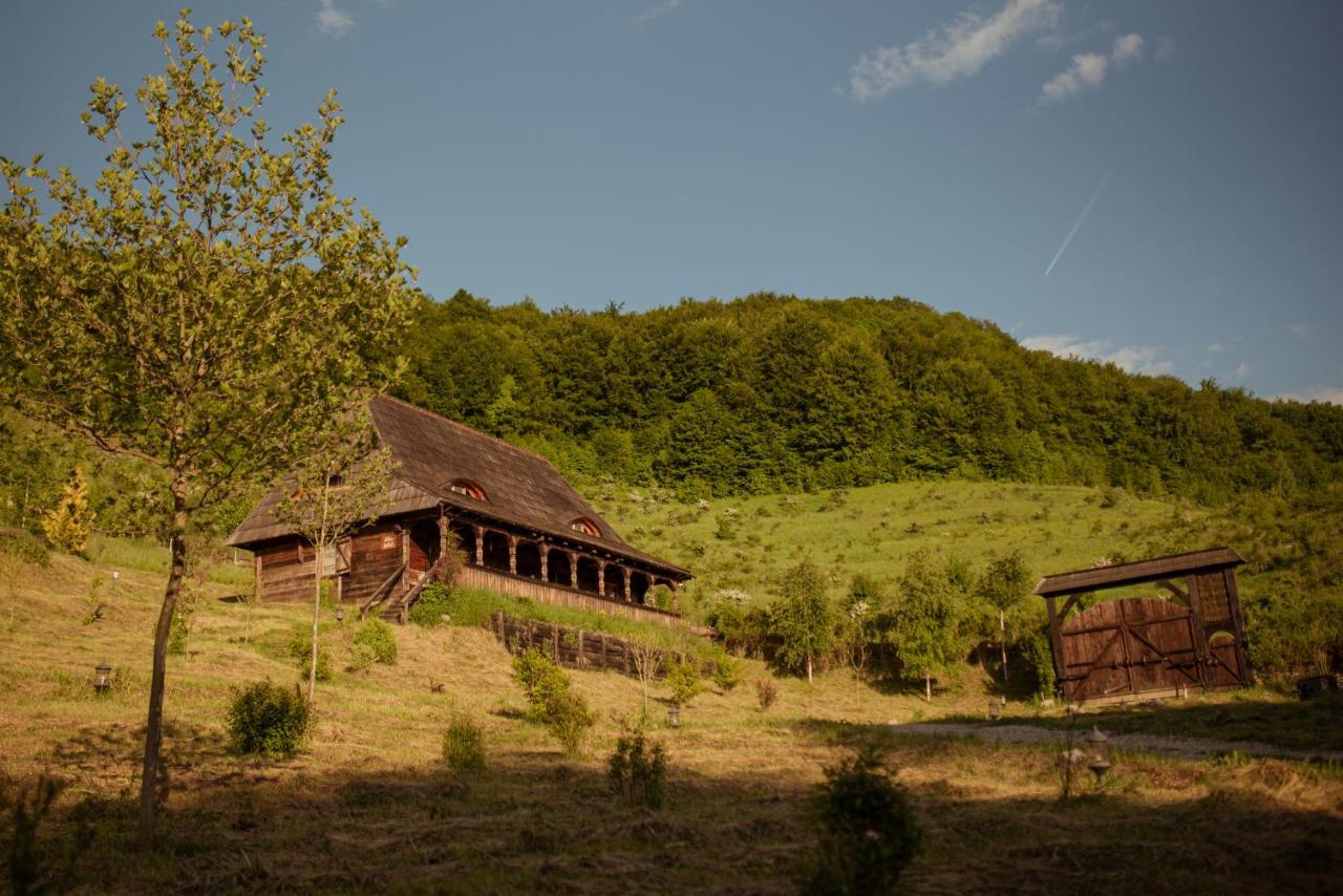 Raven'S Nest - The Hidden Village, Transylvania - Romania Sub Piatra Exterior foto