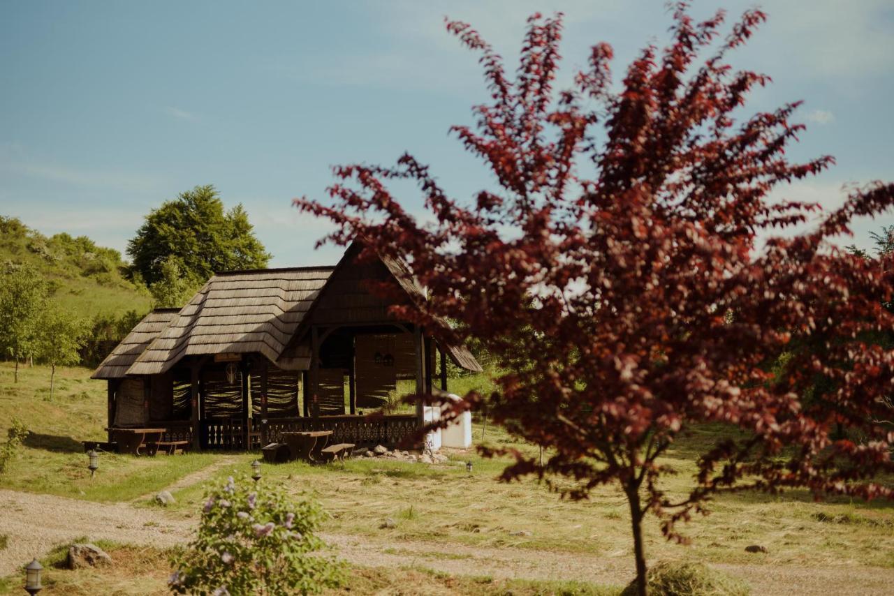 Raven'S Nest - The Hidden Village, Transylvania - Romania Sub Piatra Exterior foto