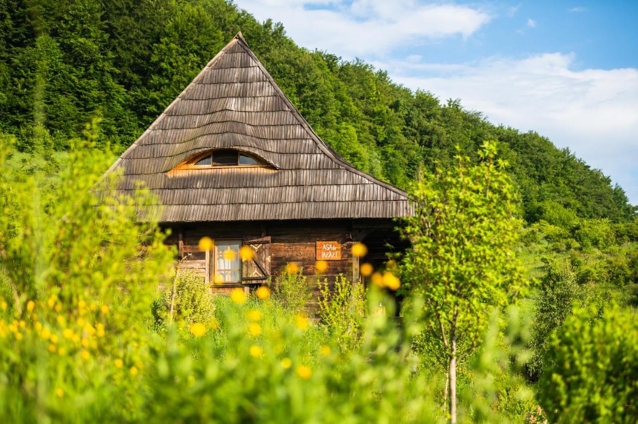 Raven'S Nest - The Hidden Village, Transylvania - Romania Sub Piatra Exterior foto