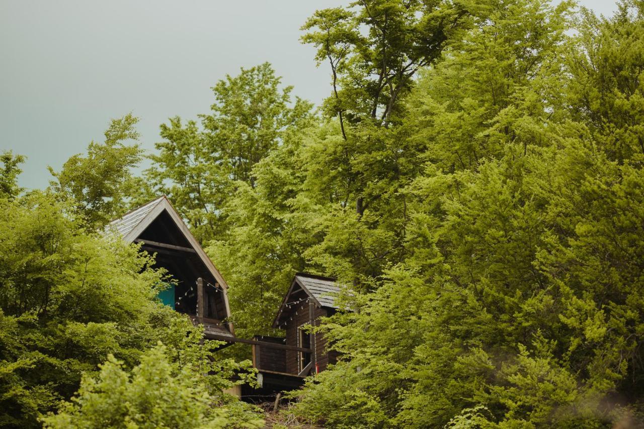 Raven'S Nest - The Hidden Village, Transylvania - Romania Sub Piatra Exterior foto